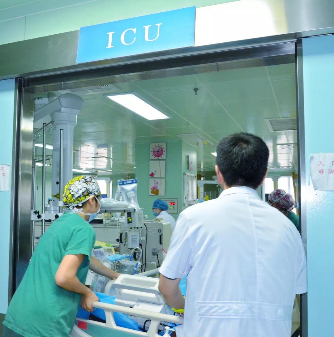 1559631943423080867.jpg 5.jpg