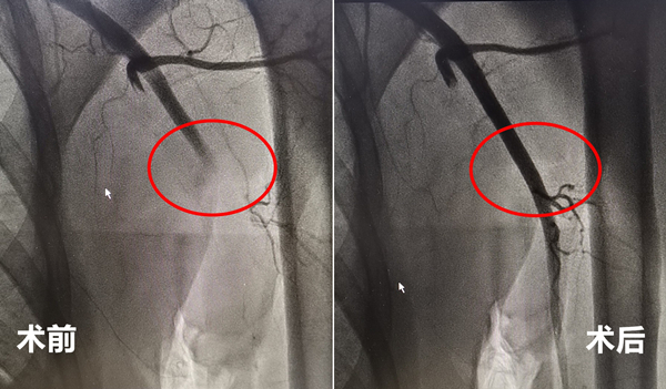 1563532293765092290.jpg 微信图片_20190719180422_wps图片_副本.jpg