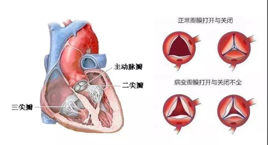 1598952726611022162.jpg 4.jpg