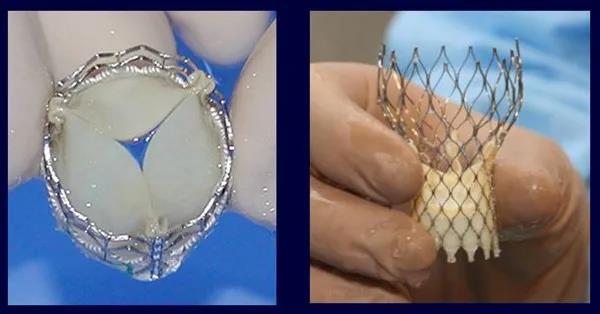 1598952825344067349.jpg 5.jpg