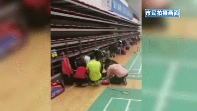 1600164457005029144.gif 1.gif