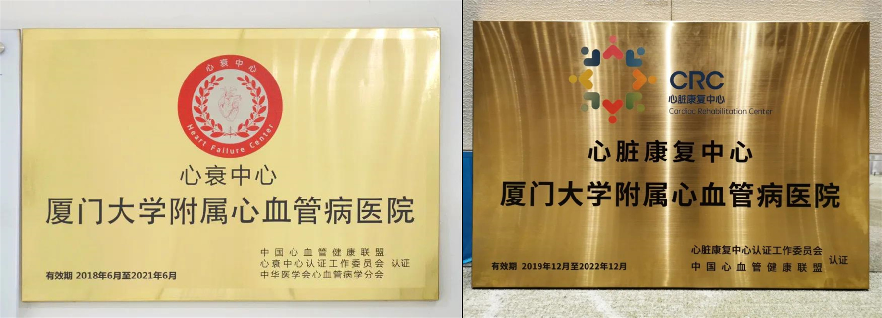 1606446669852077785.jpg 2.jpg