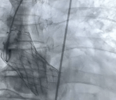 1607909577492087607.gif 4.gif