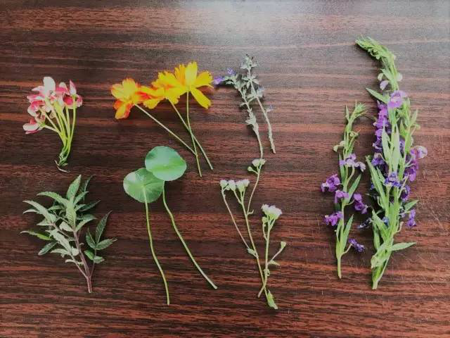 1608886389773048449.png 图片2.png