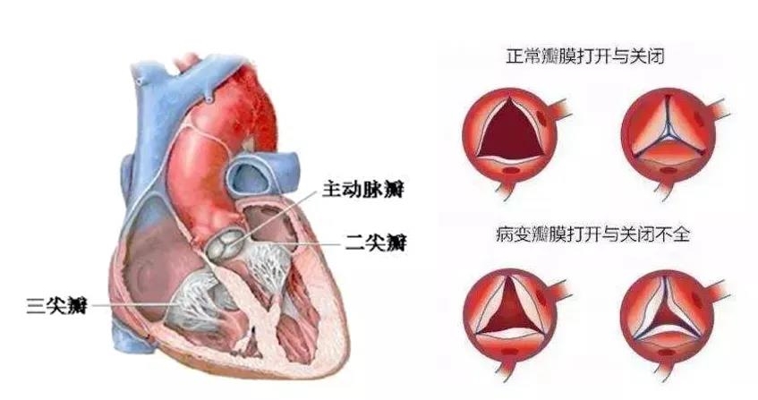 1612929369379076289.jpg 2.jpg