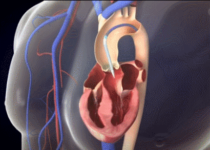 1612929422073056939.gif 4.gif