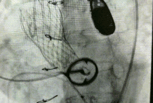 1612929445916012577.gif 5.gif