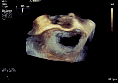 1618285105300090752.gif 2.gif