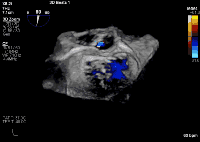 1618285156944024342.gif 5.gif