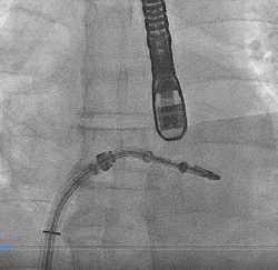 1618285236798079398.gif 6.gif