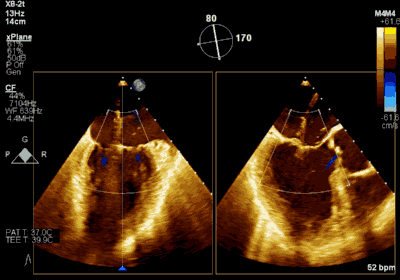 1618285547777053684.gif 9.gif