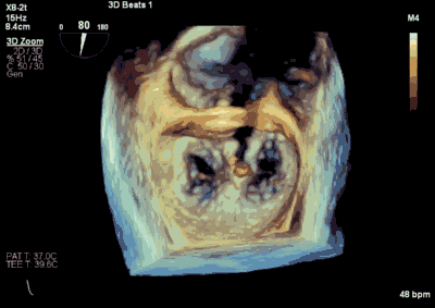 1618285555674018215.gif 10.gif