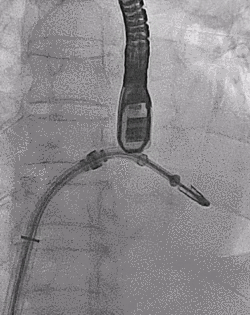 1618285602519026790.gif 11.gif