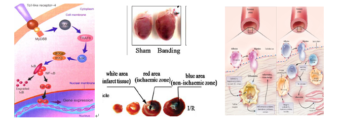 1620359430947025914.png 微信截图_20210507114015.png