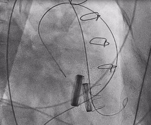 1622714530787079543.gif 1.gif