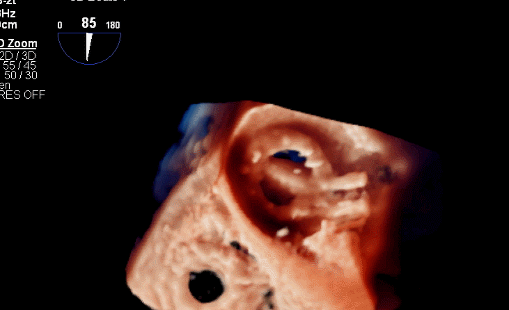 1622714986620050710.gif 7.gif