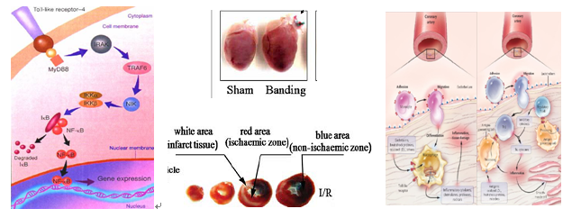 1691137411918526.png 55.png