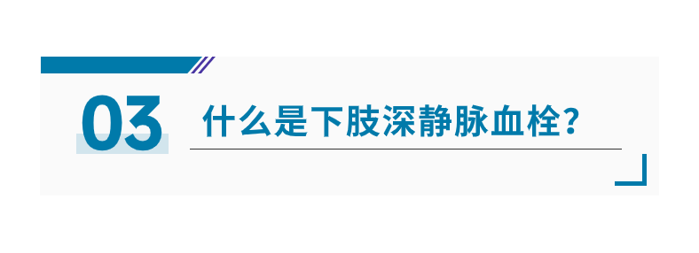 1697596394182957.png 血栓8.png