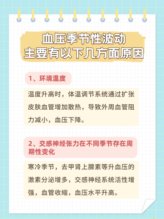 1700193115995595.jpg 2.jpg