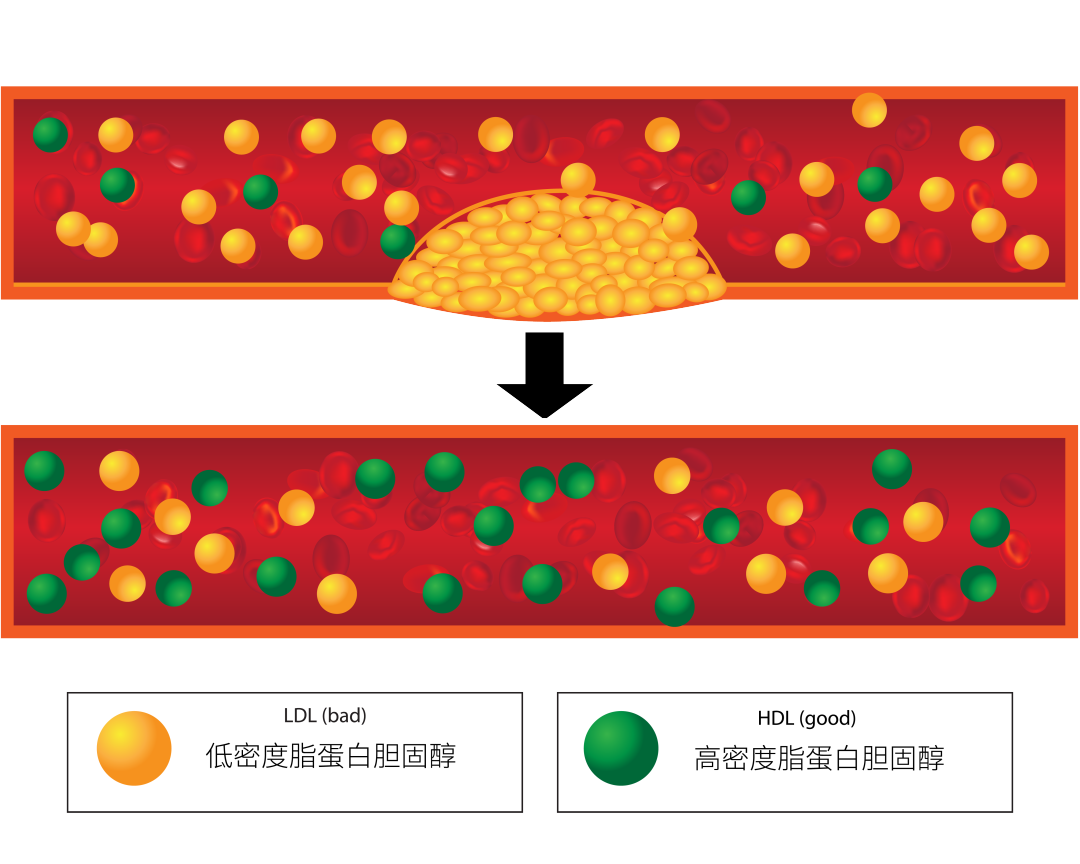 1700536378551574.png 44.png