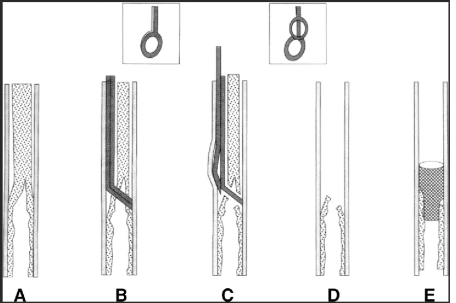 1701824185805178.png 4.png