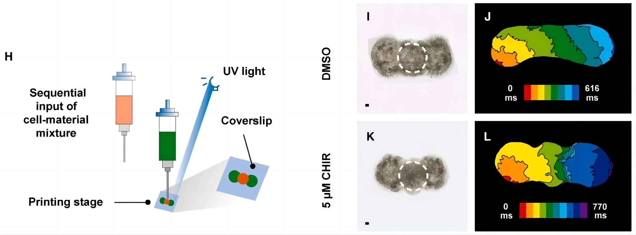 1717398249428376.jpg 640 (3).jpg