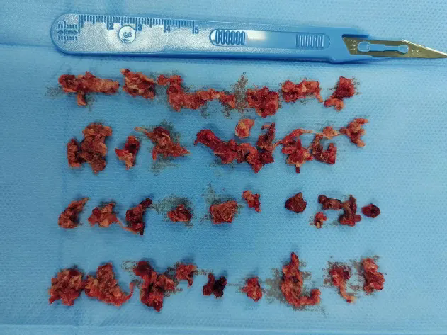 1750295157683342.png 图片2.png